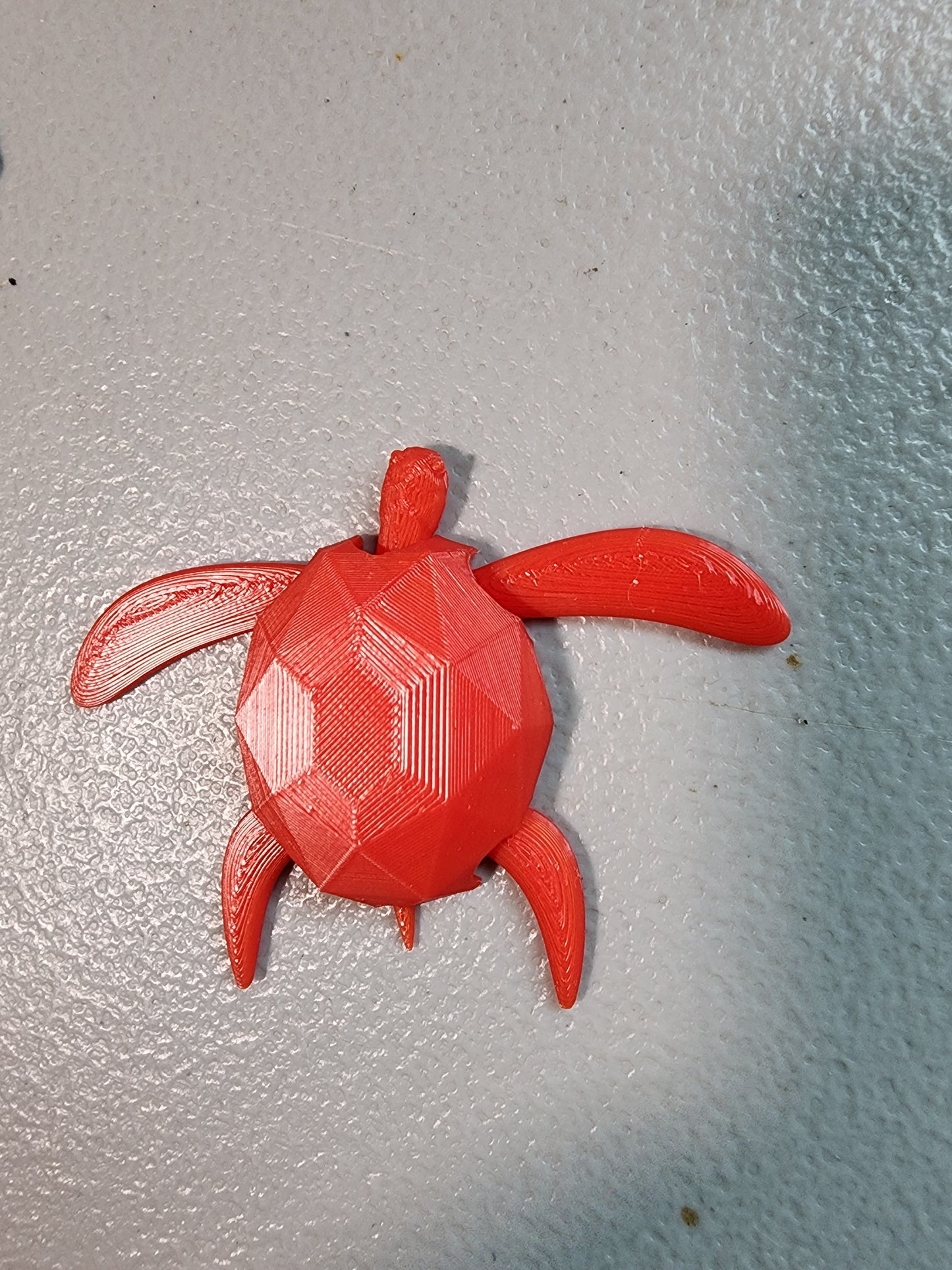 Flexi 3-D Prints Small size