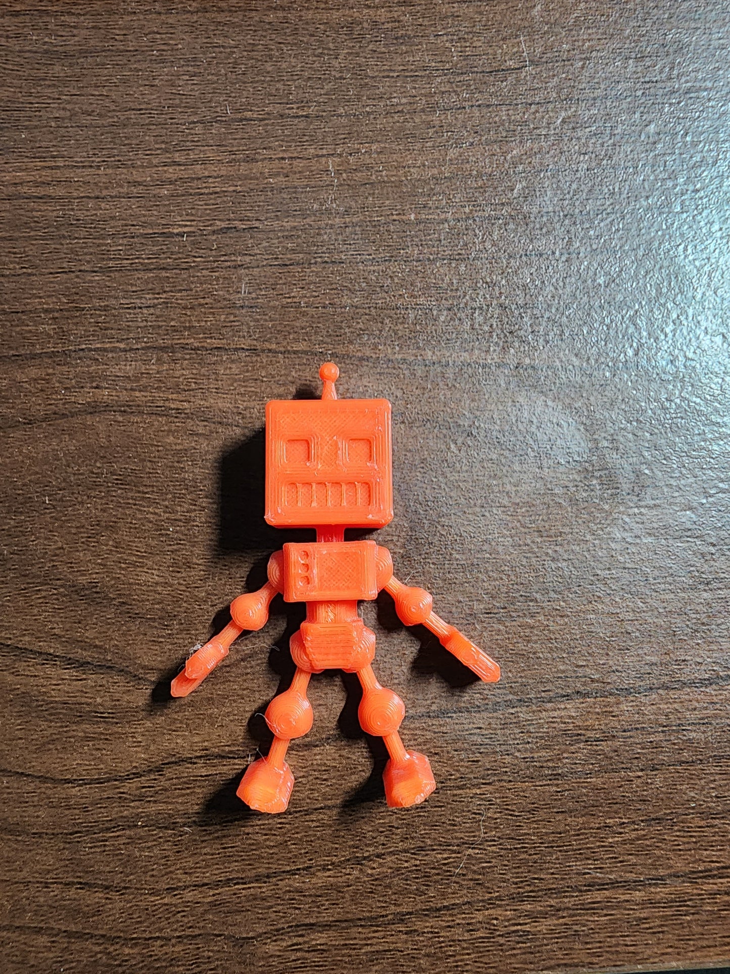 Flexi 3-D Prints Small size